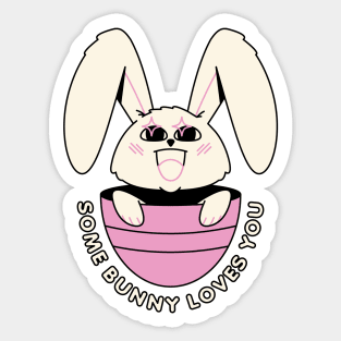 Some bunny loves you Sticker